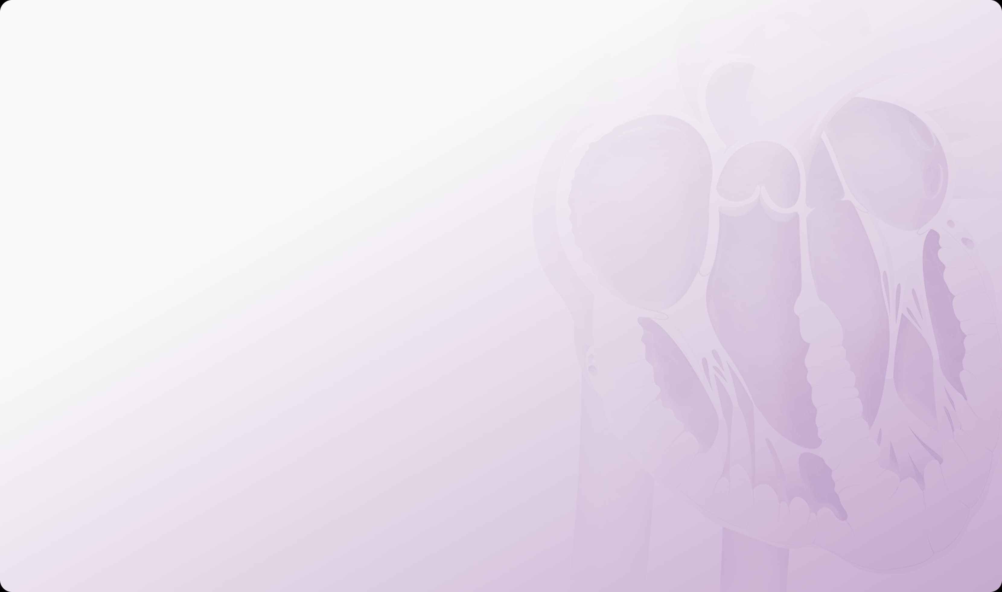 portfolio Slider